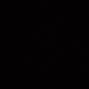 Meet your Posher, Sasha